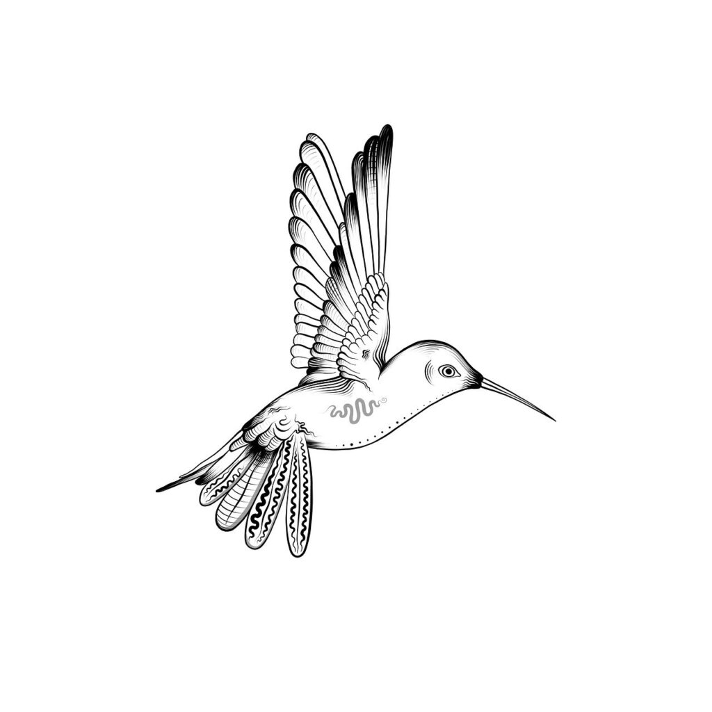 bird, hummingbird, drawing-7553736.jpg